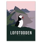 Naturkompaniet LOFOTODDEN NASJONALPARK POSTER  - Affisch