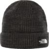 SALTY LINED BEANIE 1
